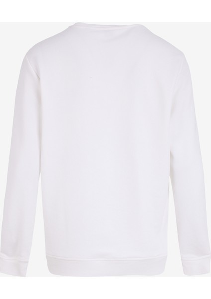 Bisiklet Yaka Ekru Erkek Sweatshırt M4WM-SWT-1531 fiyatları