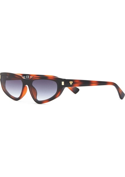 Bc 1324 C2 Cat Eye Havana - Altın Kadın Güneş Gözlüğü