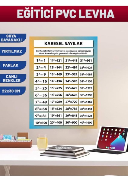 Karesel Sayılar Çocuk Eğitim Pvc Poster 21X30 cm