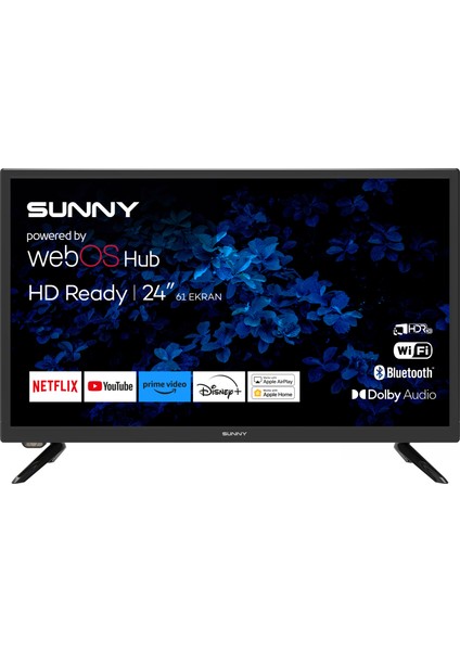 24'' 60 Ekran Uydu Alıcılı webOS Smart LED TV