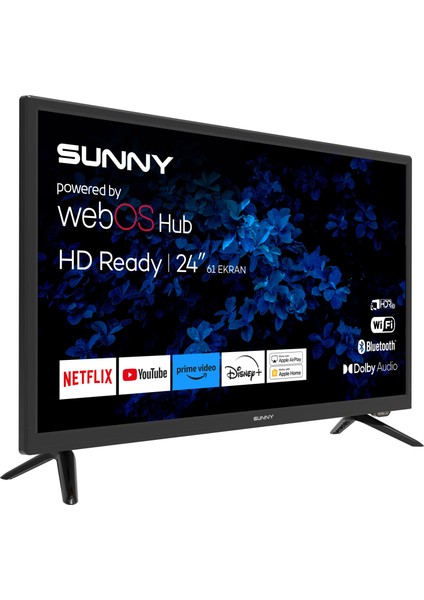 24'' 60 Ekran Uydu Alıcılı webOS Smart LED TV