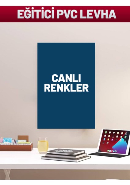 Sarı Sevimli Karışık Çizgi Çalışmaları 17