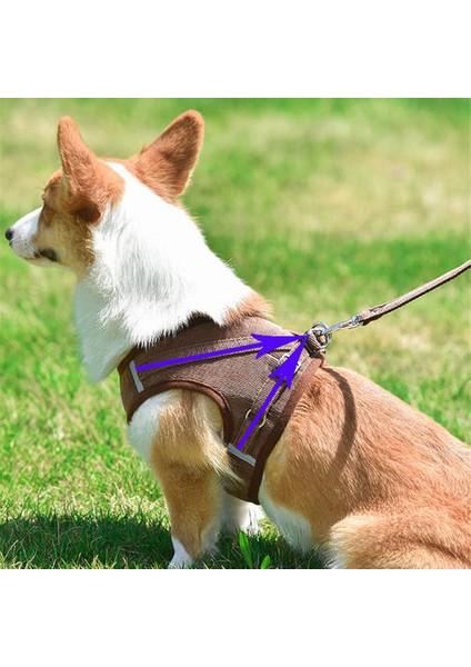 Kedi Köpek Ayarlanabilir Koşum Yelek Yansıtıcı Yavru Kedi Koşum Yelek ile Çekiş Kurşun Halat Pet Aksesuarları Nefes Pet Yelek | Koşumlar (Kahverengi) (Yurt Dışından) fırsatları