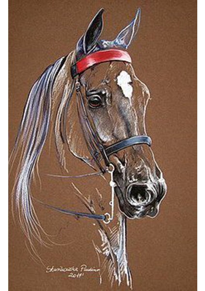 Çizim Defteri Kraft Sketchbook, Sketchpad fırsatları