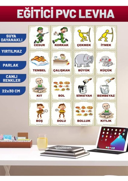 Zıt Anlamlı Eğitim Pvc Poster 21X30 cm