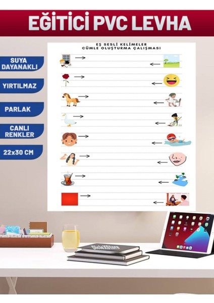 Eş Sesli Kelimeler Tablo: Eğitim Pvc Poster 21X30 cm
