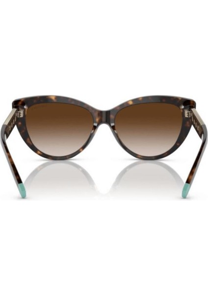 Güneş Gözlüğü TF4196 8015/38 modelleri