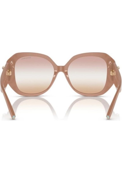 TF4207-B 8382/EL Kadın Güneş Gözlüğü fiyatları