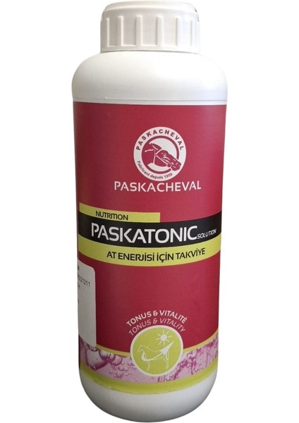 Pascacheval Paskatonic Solution 1 Lt