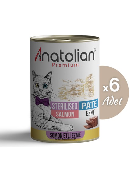 Adult Sterilised Salmon Pate Kısır Kedi Ezme Kedi Konservesi 400 gr x 6 Adet