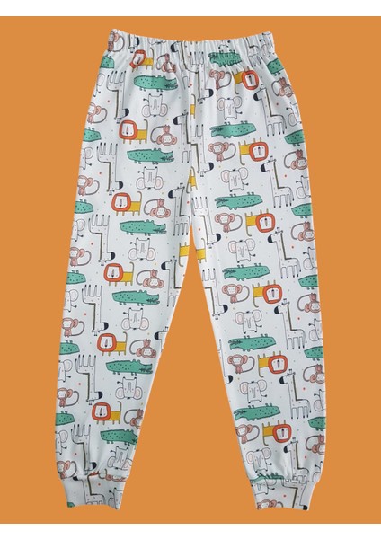 Uzun Kollu Desenli Çocuk Pijama Takım #baskılıçocukpijamatakım #çamaşırbahçesi #aslandesenli modelleri