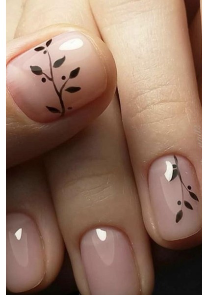 Dal Tırnak Dövmesi fiyatları