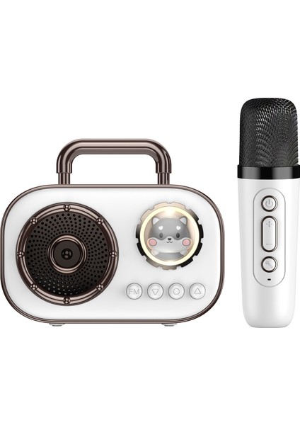 Bluetooth Hoparlör Takılabilir Tip Hepsi Bir Arada Taşınabilir Mikrofonlu Hoparlör (Yurt Dışından)