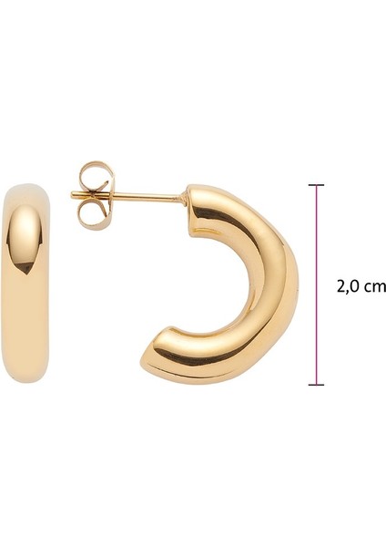 Manyetik Küpeler modelleri