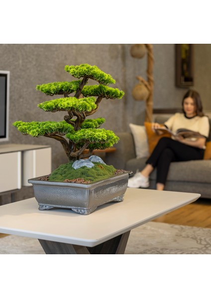 Atlas Bonsai-7 Masaüstü Kullanıma Uygun Doğal Ağaç Gövdeli Yapay Bonsai Ağacı - 50X60 cm fiyatları