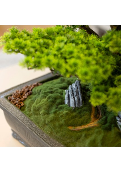 Atlas Bonsai-7 Masaüstü Kullanıma Uygun Doğal Ağaç Gövdeli Yapay Bonsai Ağacı - 50X60 cm fırsatları