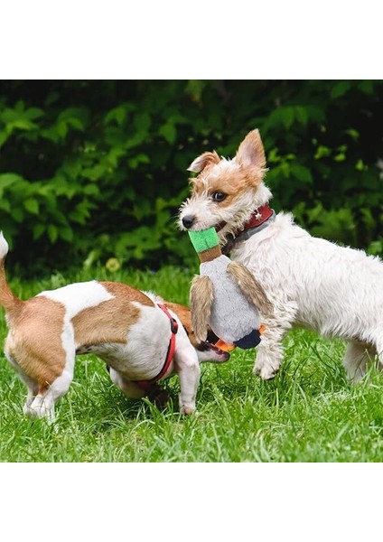 Sesli Ördek Şekilli Peluş Köpek Oyuncağı fırsatları