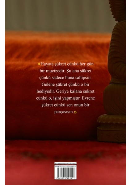 Kedileri Seven Keşiş: Yedi Keşif - Corrado Debiasi