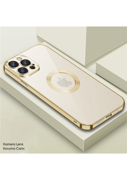 Apple iPhone 13 Pro Max Kılıf Zebana Glint Silikon Kılıf Gold