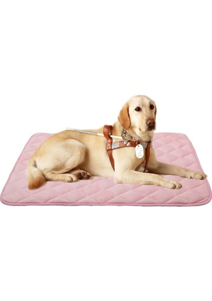 Pembe Evcil Hayvan Yatak Stili S(55X33CM) Furrybaby Pet Kedi Matı Yumuşak Kafes Matları Kaymaz Tabanlı Yıkanabilir Evcil Hayvan Yastığı Köpek Yatma Kedi Aksesuarları Gatos (Yurt Dışından) modelleri