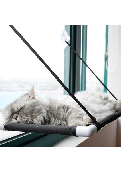 Pembe Tarzı 60X31CM 10KG Kedi Hamak Pencere Yatağı ve Kanepe Evcil Hayvan Montaj Koltuğu Ev Emme Kupası Kediler Yatağı Mat Kedi Yavrusu Kedi Hamak Yatağı Montaj Pencere (Yurt Dışından) modelleri