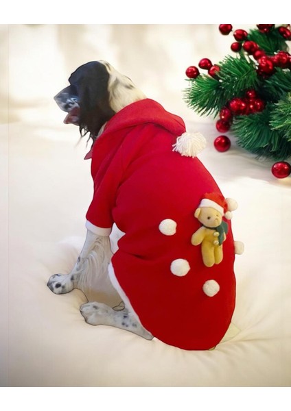 My Teddy Noel Kapşonlu Köpek Süeteri, Köpek Kıayafeti