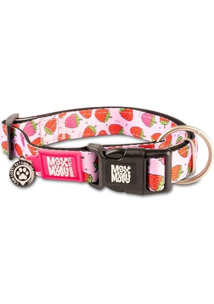 Strawberry Dream Smart Id Köpek Boyun Tasması Small