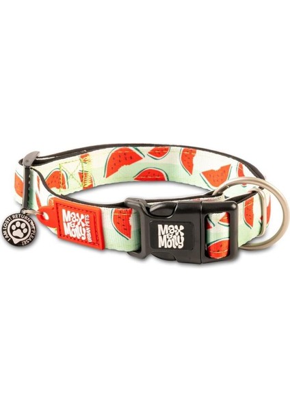 Watermelon Smart Id Köpek Boyun Tasması Small