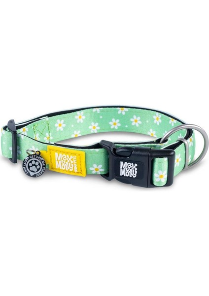Margarite Smart Id Köpek Boyun Tasması Small