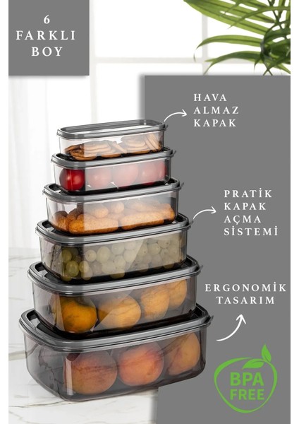 Platin 6'lı 12 Parça Dikdörtgen Sweet Şeffaf Saklama Kabı Seti fiyatları
