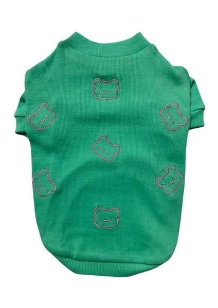 Bear Küçük Irk Köpek Sweatshirtü Mint