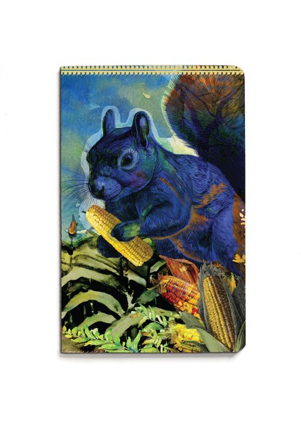 Nesin Defter - Mısır