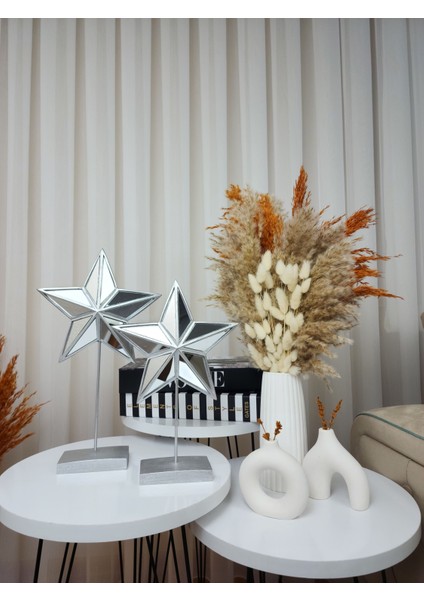 Dekoratif Aynalı 2' Li Gümüş Yıldız Biblo fiyatları