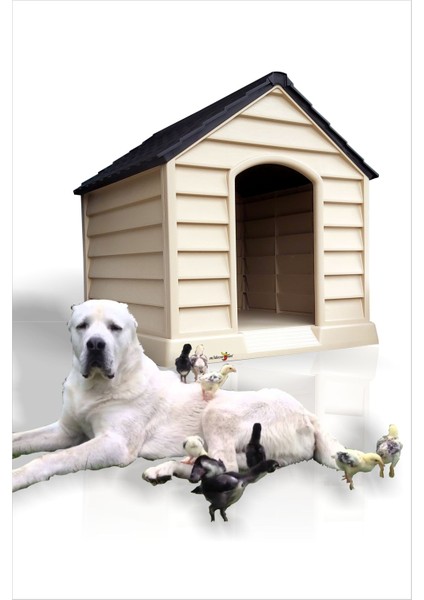 Dev Büyük Yüksek Geniş 100X95CM Isı Yalıtımlı Havalandırmalı Köpek Kulübesi Evi Yuvası Kümesi Kafesi