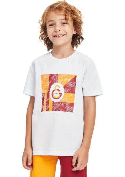 Lisanslı Logolu Beyaz Çocuk T-Shırt Aslan Ahşap Kutulu fiyatları