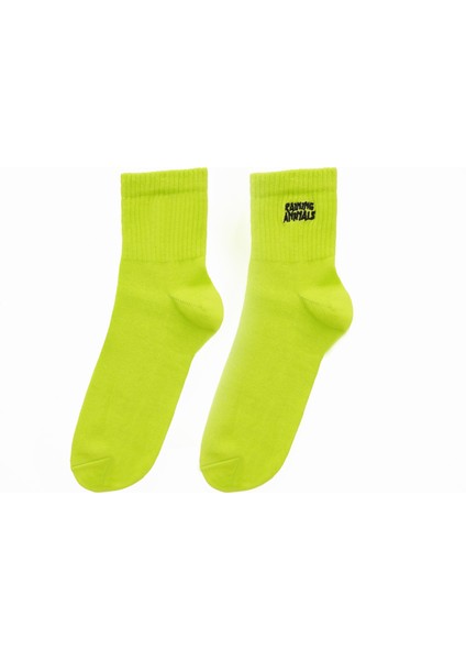 Raining Animals 2'li Açık Renk Paket Pamuklu Unisex Tenis Çorap Logo Nakışlı Krem - Lime Yeşili