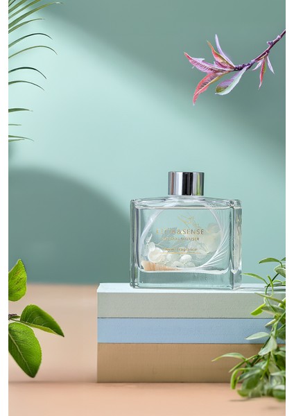 Cıtta Bloom Of Scent | Dream Serisi | French Block Oda Kokusu | 120 ml Oda Kokusu