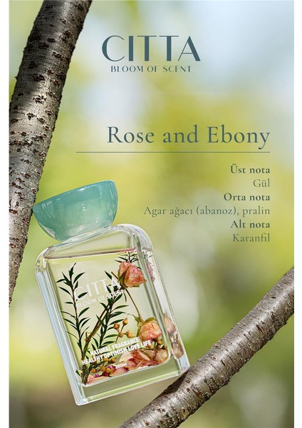 Cıtta Bloom Of Scent | Rose & Ebony Oda Kokusu | 200 ml Oda Kokusu