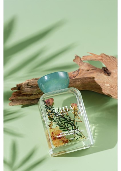 Cıtta Bloom Of Scent | Rose & Ebony Oda Kokusu | 200 ml Oda Kokusu