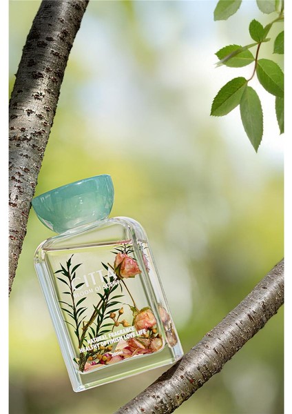 Cıtta Bloom Of Scent | Rose & Ebony Oda Kokusu | 200 ml Oda Kokusu
