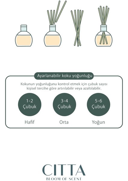 Cıtta Bloom Of Scent | Dream Serisi | French Block Oda Kokusu | 150 ml Oda Kokusu
