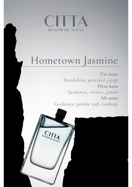 Cıtta Bloom Of Scent | 3'lü Oda Parfümü Seti | Hediye Seti Oda Kokusu | 120 ml Oda Kokusu