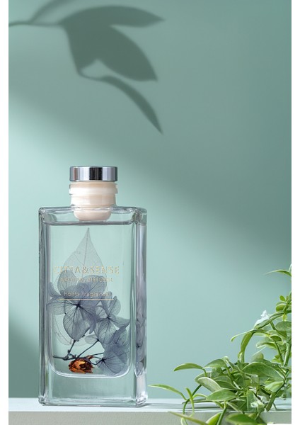 Cıtta Bloom Of Scent | Dream Serisi | Grasse Style Oda Kokusu | 150 ml Oda Kokusu