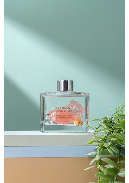 Cıtta Bloom Of Scent | Dream Serisi | Prussian Style Oda Kokusu | 120 ml Oda Kokusu