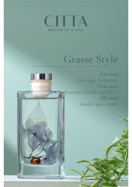 Cıtta Bloom Of Scent | Dream Serisi | Grasse Style Oda Kokusu | 150 ml Oda Kokusu