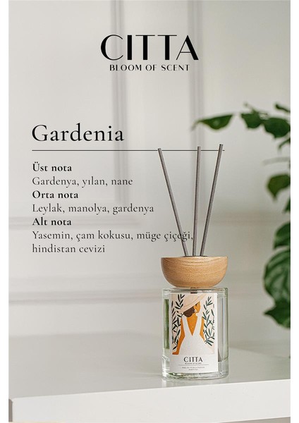 Cıtta Bloom Of Scent | Lacey Wood Serisi | Gardenia Oda Kokusu | 120 ml Oda Kokusu