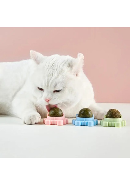 Yengeç Kedi Otu Oyun Topu