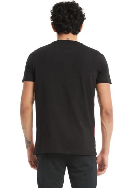 Lisanslı Büyük Logolu T-Shırt Aslan Ahşap Kutulu indirimleri