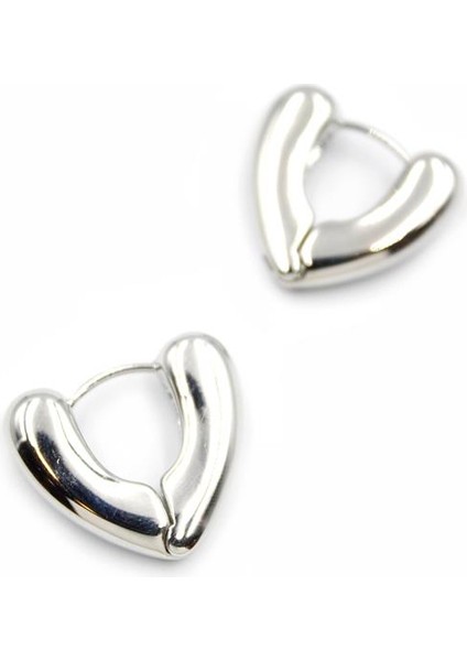 Kalp Küpe - Gümüş fiyatları