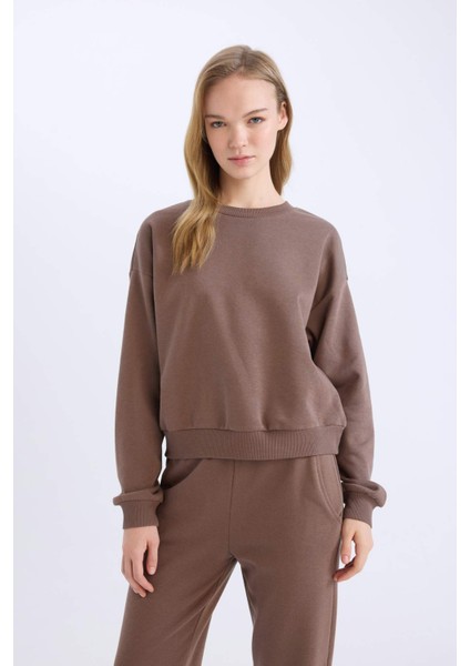 Regular Fit 2'li Takım Kalın Bisiklet Yaka Sweatshirt Esnek Belli Jogger Eşofman Altı D8022AXNS